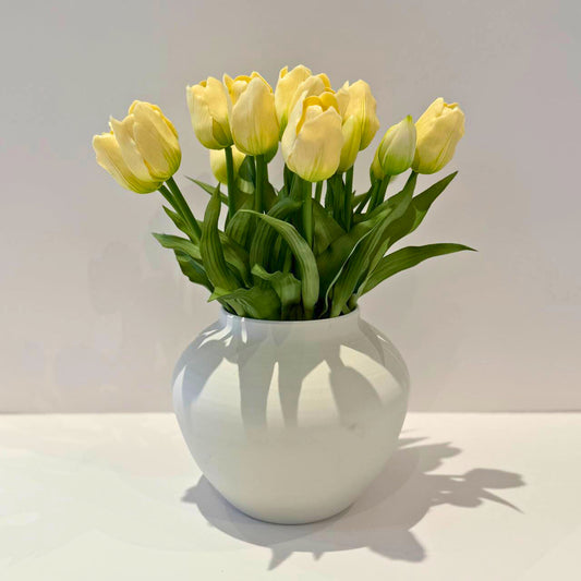 בוקט טוליפים לבנים - 6 יחידות