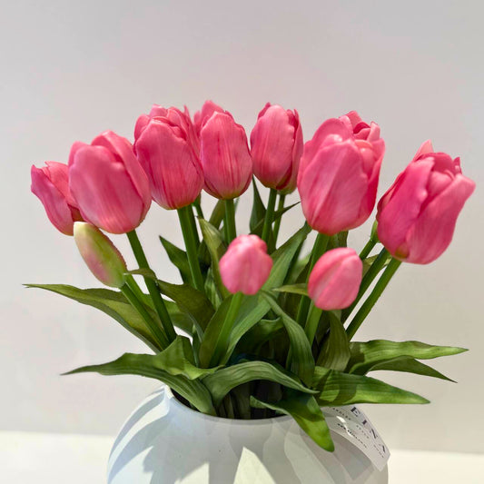 בוקט טוליפים ורודים - 6 יחידות